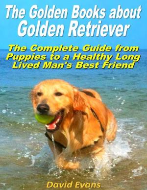 Book cover of The Golden Books About Golden Retriever: The Complete Guide from Puppies to a Healthy Long Lived Men's Best Friend