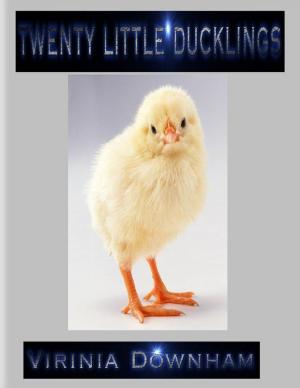 Book cover of Twenty Little Ducklings
