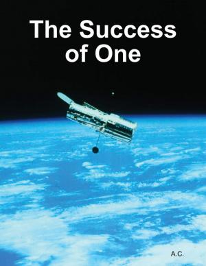 Cover of the book The Success of One by Joseph Hunninghake