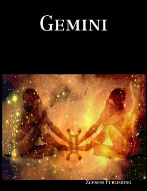Cover of the book Gemini by Lori Jenessa Nelson
