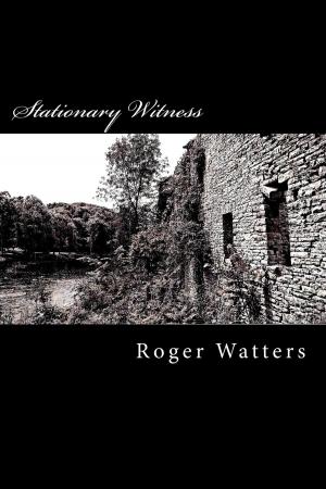Cover of the book Stationary Witness by Ellen Wilder, Amber Root