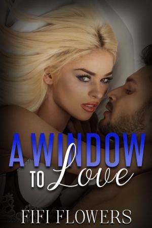 Cover of the book A Window to Love by Julie Bozza