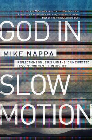 Cover of the book God in Slow Motion by Dandi Daley Mackall