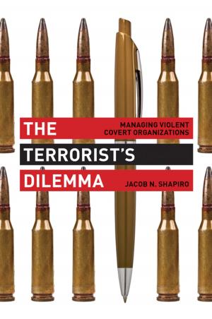 Cover of the book The Terrorist's Dilemma by Cormac Ó Gráda