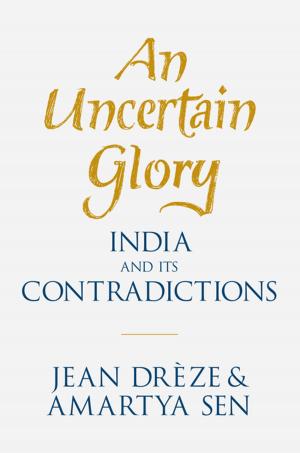 Cover of the book An Uncertain Glory by Peter Bien