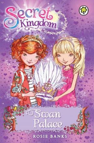 Book cover of Secret Kingdom: Swan Palace