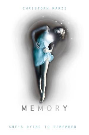 Book cover of Memory