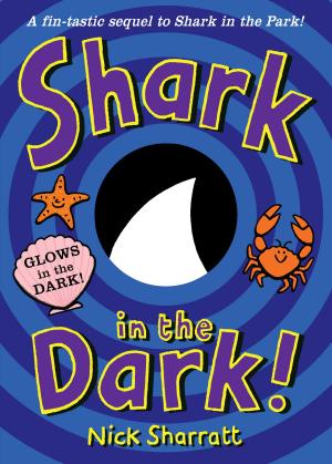 Cover of the book Shark in the Dark by Robert Swindells