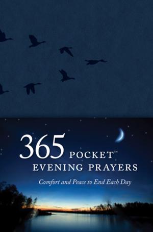 Book cover of 365 Pocket Evening Prayers