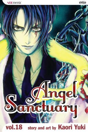 Cover of the book Angel Sanctuary, Vol. 18 by Hiroshi Shiibashi