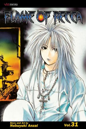 Cover of Flame of Recca, Vol. 31