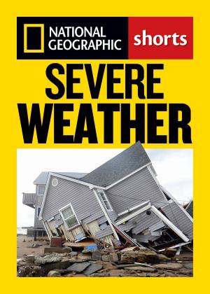 Cover of the book Severe Weather by Moira Rose Donohue