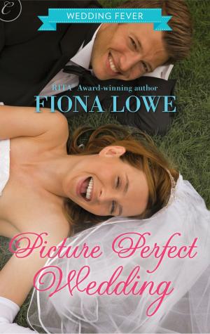 Cover of the book Picture Perfect Wedding by J.A. Hornbuckle