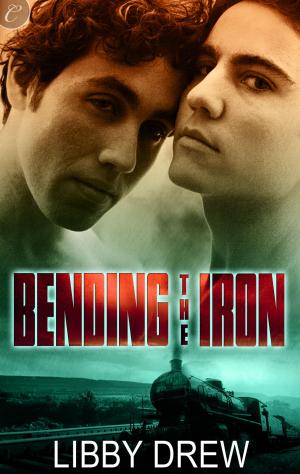 Cover of the book Bending the Iron by Natalie J. Damschroder
