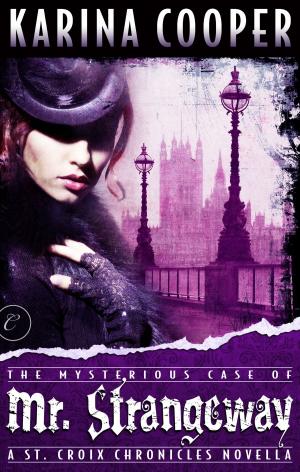 Cover of the book The Mysterious Case of Mr. Strangeway by Eleri Stone