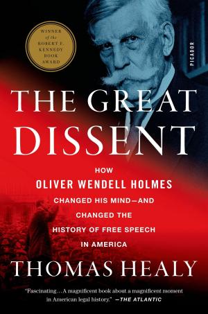 Cover of the book The Great Dissent by Paul Kuttner