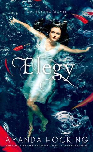 Cover of the book Elegy by Paul Buhle, Dave Wagner
