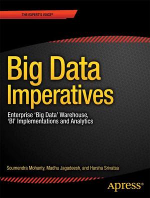 Cover of the book Big Data Imperatives by Matthew  Knott