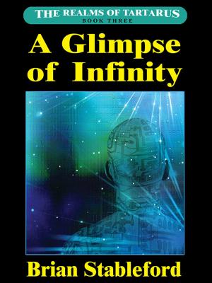 Cover of the book A Glimpse of Infinity by Jay Williams, Raymond Abrashkin