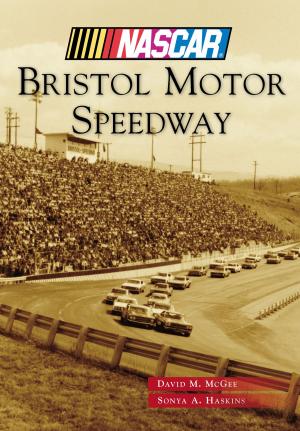 Cover of the book Bristol Motor Speedway by Dave Shampine