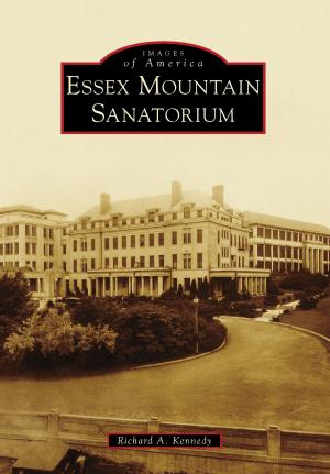 Cover of the book Essex Mountain Sanatorium by Maria Tsaneva
