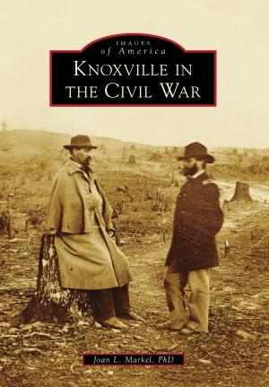 bigCover of the book Knoxville in the Civil War by 
