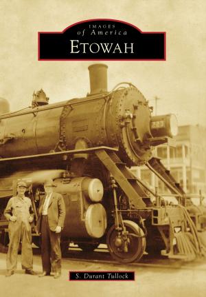 Cover of the book Etowah by Robin Bower