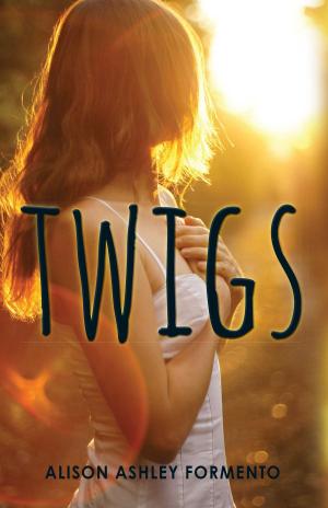 Cover of the book Twigs by R.L. Stine