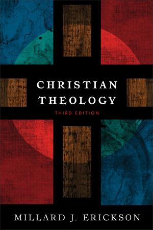 Book cover of Christian Theology
