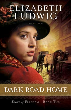 Cover of the book Dark Road Home (Edge of Freedom Book #2) by Alexandra Kuykendall