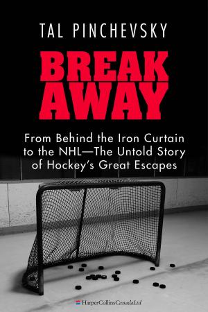 Cover of the book Breakaway by Hugo Hamilton
