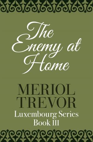 Cover of the book The Enemy At Home by David McWhir