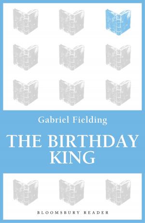 Cover of the book The Birthday King by Anne Hollander