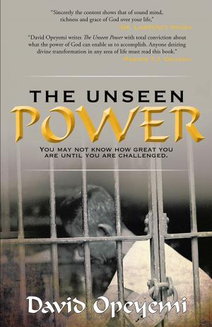 Cover of the book The Unseen Power by Jerrie Ann Hill