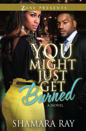 Cover of the book You Might Just Get Burned by D.Y. Phillips