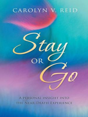 bigCover of the book Stay or Go by 
