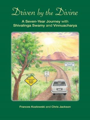 Cover of the book Driven by the Divine by Scott Werner
