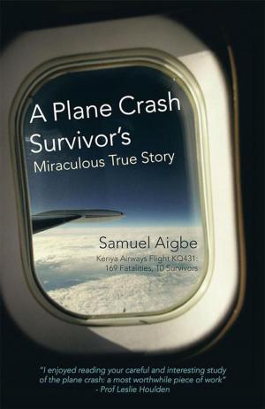 Cover of the book A Plane Crash Survivor’S Miraculous True Story by Raymond Kresha MEd LPC