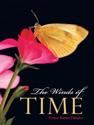 Cover of the book The Winds of Time by Margaux Joy DeNador