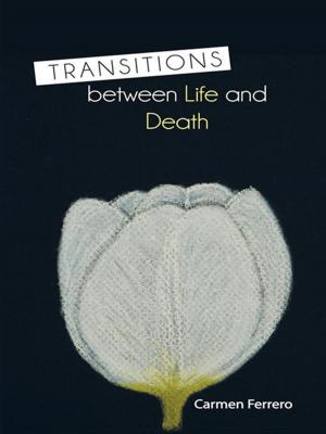 Cover of the book Transitions Between Life and Death by David Mutchler