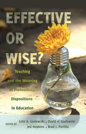 Cover of the book Effective or Wise? by Jim Kammerer