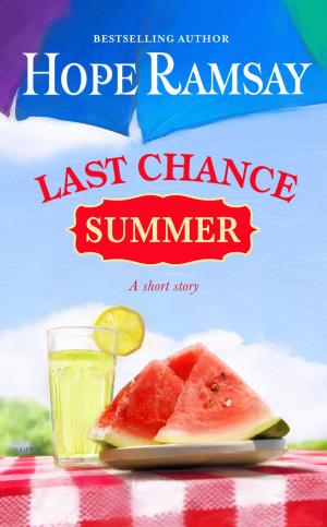 Book cover of Last Chance Summer