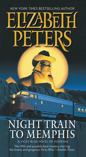Cover of the book Night Train to Memphis by M. C. Beaton