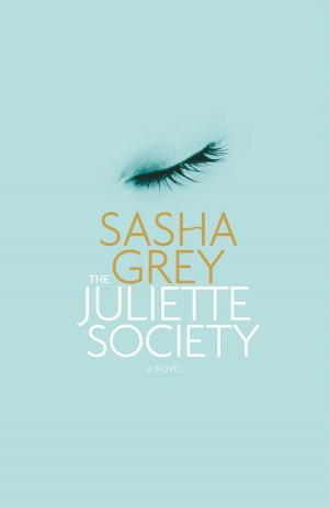 Cover of the book The Juliette Society by D. Watkins