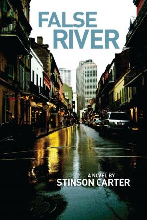 Cover of the book False River by Art Toalston