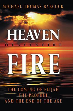 Book cover of Heaven Fire