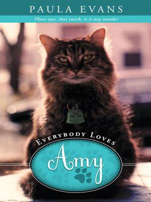 Cover of Everybody Loves Amy