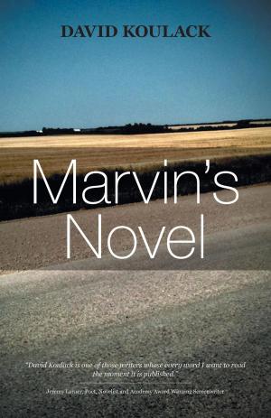 Cover of the book Marvin's Novel by Joy Lynn Goddard