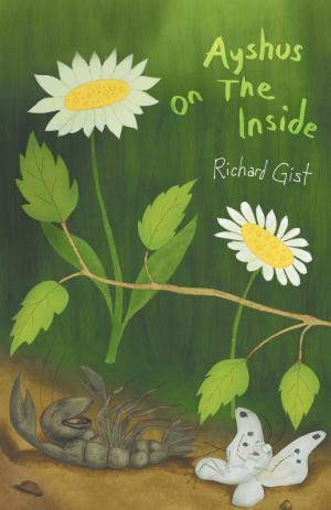 Cover of the book Ayshus on the Inside by Holly McKee