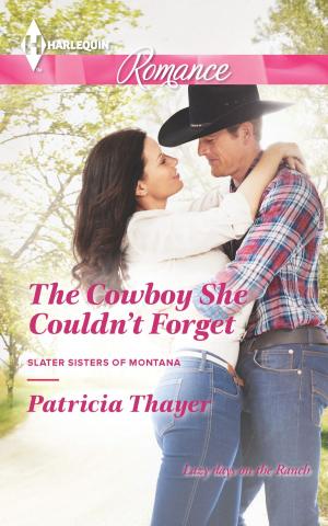 Cover of the book The Cowboy She Couldn't Forget by Ally Blake